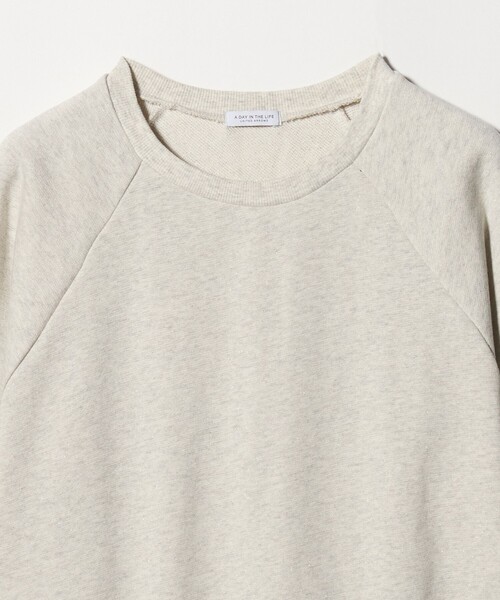 A DAY IN THE LIFE UNITED ARROWS(アデイインザライフユナイテッドアローズ)の「ラメ ウラケ ハーフスリーブスウェット <A DAY IN THE LIFE>(スウェット・レディース・ライトピンク/ナチュラル/グレー系・FREE)」の9枚目の写真
