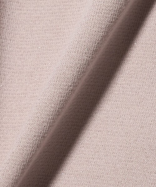A DAY IN THE LIFE UNITED ARROWS(アデイインザライフユナイテッドアローズ)の「ラメ ウラケ ハーフスリーブスウェット <A DAY IN THE LIFE>(スウェット・レディース・ライトピンク/ナチュラル/グレー系・FREE)」の6枚目の写真