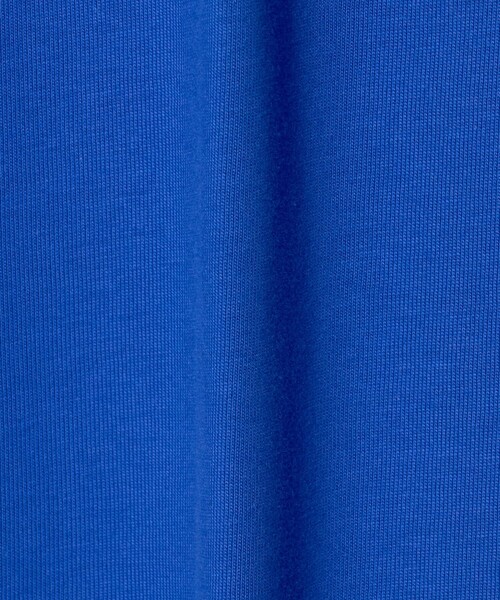 THE NORTH FACE(ザノースフェイス)の「【WEB限定】<THE NORTH FACE>ロックウォール グラフィック 半袖 Tシャツ(Tシャツ/カットソー・メンズ・コバルトブルー/ブラック/オフホワイト・L/M/XL/S)」の19枚目の写真