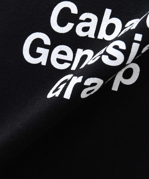 cabaret poval（キャバレーポバール）の「【cabaret poval / キャバレーポバール】Passengers S/S Tシャツ（Tシャツ/カットソー・メンズ・ホワイト/ブラック・LARGE/X-LARGE）」の10枚目の写真