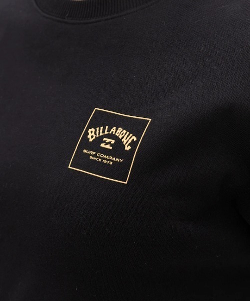 BILLABONG(ビラボン)の「BILLABONG レディース PATTERN LOGO SWEAT C トレーナー 【2024年秋冬モデル】/ビラボンバックスクエアロゴプリントクルーネックトレーナー(スウェット・レディース・ブラック/ブラック系その他/グレー/ベージュ/ホワイト・MEDIUM/LARGE)」の12枚目の写真