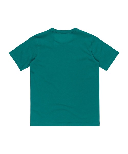 Quiksilver(クイックシルバー)の「EV COMP LOGO SS YTH/クイックシルバーキッズロゴフロントプリント半袖Tシャツ(Tシャツ/カットソー・キッズ・ホワイト/グリーン/ブルー/オレンジ/ブラック/オレンジ系その他/ホワイト系その他・150/130/160/140)」の13枚目の写真