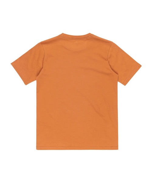 Quiksilver(クイックシルバー)の「EV COMP LOGO SS YTH/クイックシルバーキッズロゴフロントプリント半袖Tシャツ(Tシャツ/カットソー・キッズ・ホワイト/グリーン/ブルー/オレンジ/ブラック/オレンジ系その他/ホワイト系その他・150/130/160/140)」の10枚目の写真