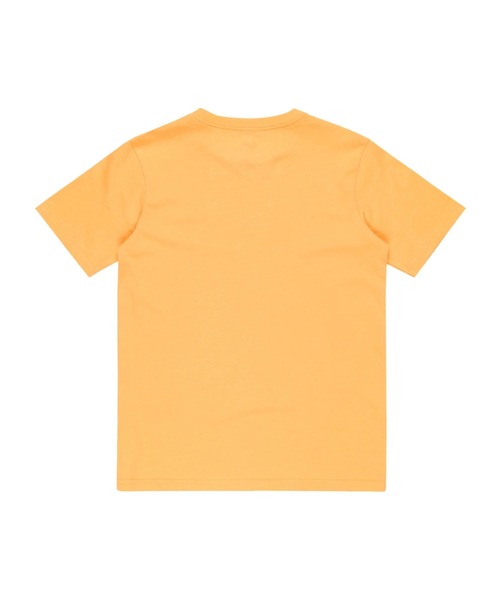 Quiksilver(クイックシルバー)の「EV COMP LOGO SS YTH/クイックシルバーキッズロゴフロントプリント半袖Tシャツ(Tシャツ/カットソー・キッズ・ホワイト/グリーン/ブルー/オレンジ/ブラック/オレンジ系その他/ホワイト系その他・150/130/160/140)」の20枚目の写真
