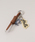 OUTDOOR PRODUCTSiAEghAv_Ncj́uǉ2 LA BOO BAG`[iL[P[X/L[ANZT[jvbuEn̑