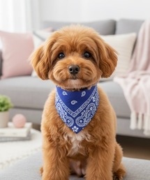 IO（イオ）（イオ）の「IO Select / ペット服 リードフック付き 首輪 三角スカーフ スタイ バンダナ YWG-0013（ペット用おもちゃ）」