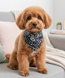 IO（イオ）（イオ）の「IO Select / ペット服 リードフック付き 首輪 三角スカーフ スタイ バンダナ YWG-0013（ペット用おもちゃ）」