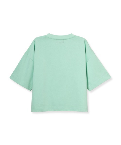 Barbour(バブアー)の「クロップドロゴ Tシャツ(Tシャツ/カットソー・レディース・ピンク/ミント/ブラック/ホワイト/イエロー・MEDIUM/SMALL)」の13枚目の写真
