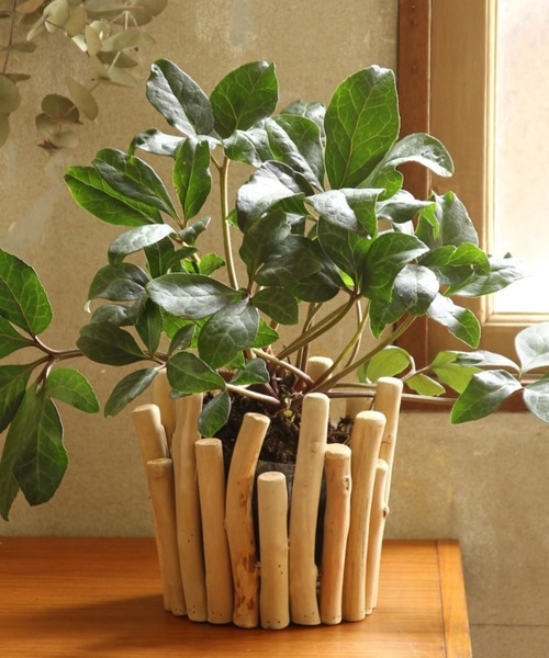 SPICE OF LIFE(スパイス オブ ライフ)の「流木風ポット Lサイズ 約20×18cm(フラワーベース・レディース・サンドベージュ・ONE SIZE)」の5枚目の写真