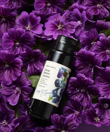 chant a charm(`g A `[)̃`gA`[ fB[v CXg [VEX(ϐ)