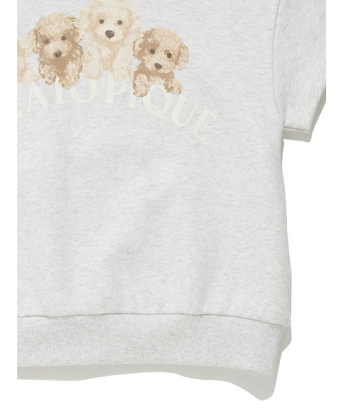 新品　gelato pique トイプードル　DOG3 ルームウェア　セット 新品 gelato pique トイプードル DOG3 ルームウェア セット