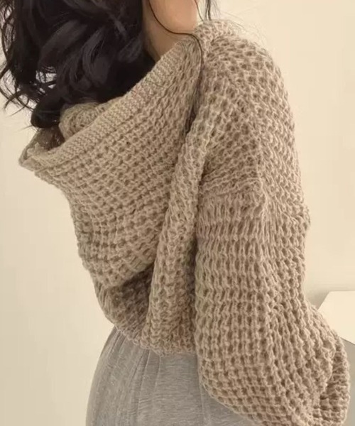 SPIGA(スピーガ)の「ジップアップクロシェ編みニットフーディ(パーカー・レディース・ホワイト/ベージュ/ピンク/ブルー・FREE)」の5枚目の写真