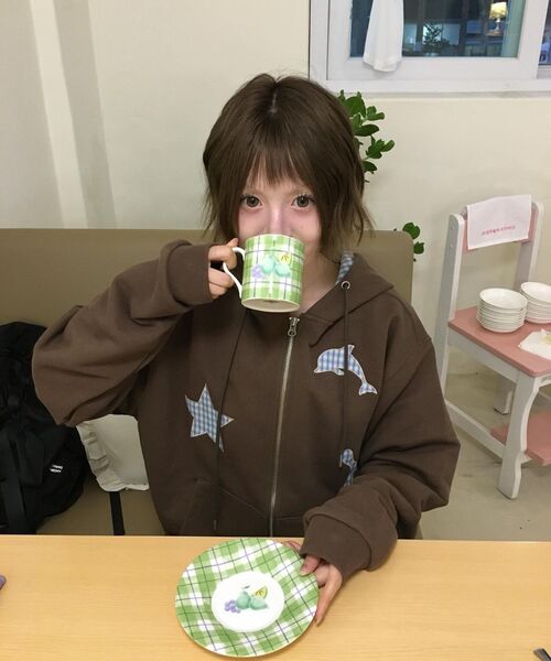 WaiKei(ワイケイ)の「スタードルフィンチェックアプリケフードジップアップブラウン(パーカー・レディース・その他・1/2)」の10枚目の写真