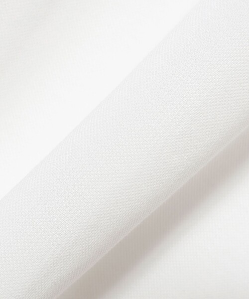 LACOSTE(ラコステ)の「【別注】LACOSTE / PARIS ポロシャツ(ポロシャツ・メンズ・ブラック/ネイビー/ホワイト・5/3/4/2)」の10枚目の写真