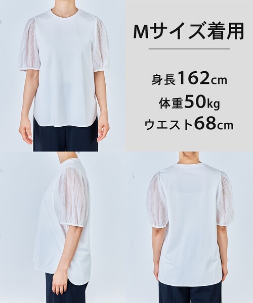 UNFILO（アンフィーロ）の「BEAUTY FORM-T タックスリーブ Tシャツ（Tシャツ/カットソー・レディース・ブラック系/ベージュ系/ピンク系/ホワイト系・X-LARGE）」の5枚目の写真