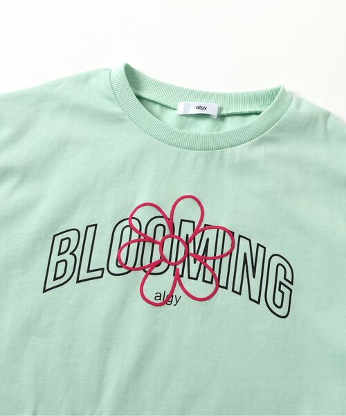 algy(アルジー)の「アソートカラバリ半袖Tシャツ(Tシャツ/カットソー・キッズ・ラベンダー/ミント/サックスブルー/オフホワイト・120/130/140/150/160)」の22枚目の写真