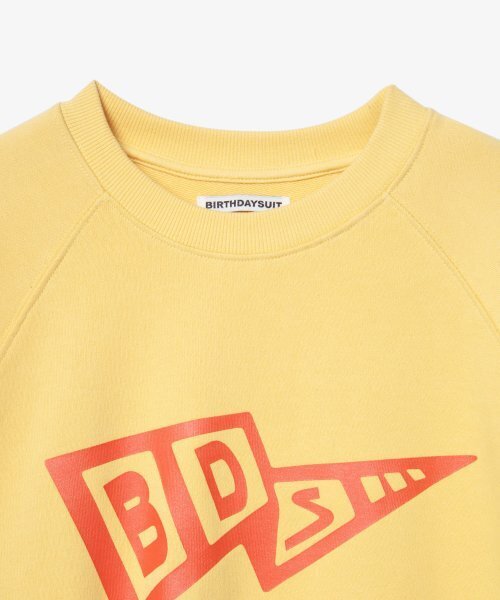 BIRTHDAYSUIT(バースデースーツ)の「FLAG SWEAT (YELLOW)(スウェット・レディース・その他・LARGE/MEDIUM/SMALL/X-LARGE/X-SMALL)」の3枚目の写真
