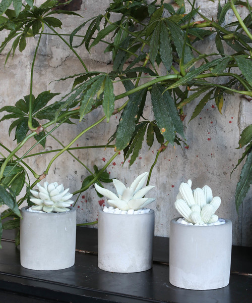 DULTON（ダルトン）の「FRAGRANCE DIFFUSER /フレグランス ディフューザー（ルームフレグランス/お香・メンズ・その他1/その他2/その他3・FREE）」の8枚目の写真