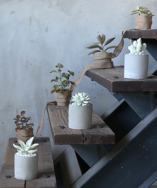 DULTON（ダルトン）の「FRAGRANCE DIFFUSER /フレグランス ディフューザー（ルームフレグランス/お香・メンズ・その他1/その他2/その他3・FREE）」の9枚目の写真