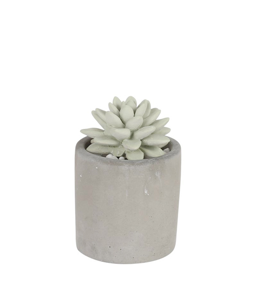 DULTON（ダルトン）の「FRAGRANCE DIFFUSER /フレグランス ディフューザー（ルームフレグランス/お香・メンズ・その他1/その他2/その他3・FREE）」の11枚目の写真