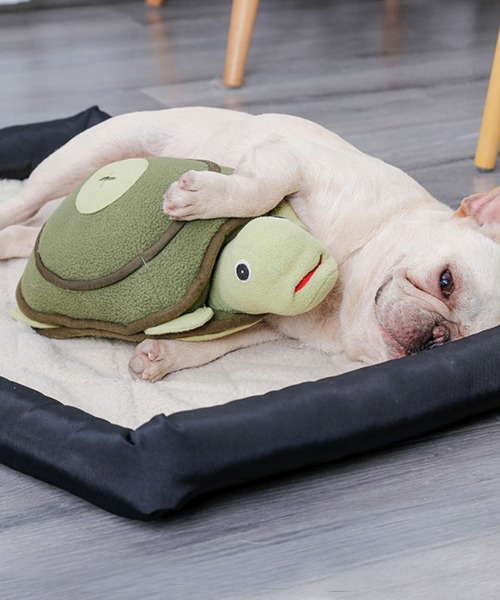 aimoha（アイモハ）の「亀ちゃんおもちゃ（ペット用おもちゃ