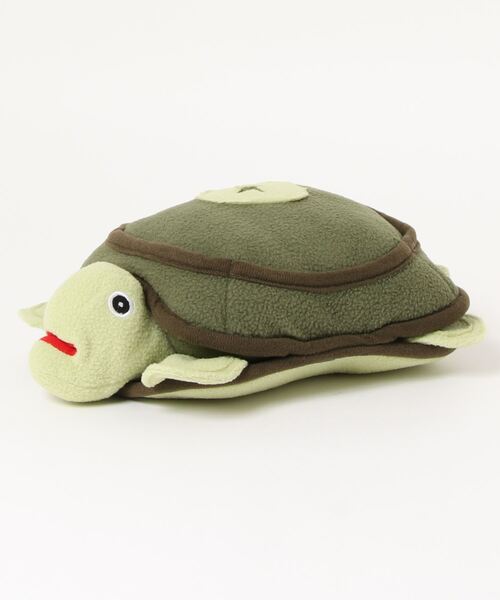 かめちゃん 0000000037692_wDlc5YS.jpg