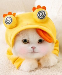 動物形ペットパーカー