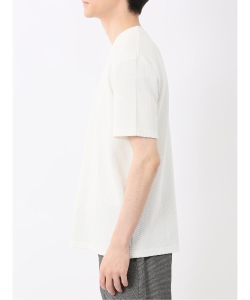 m.f.editorial（エムエフエディトリアル）の「【マシンウォッシャブル】m.f.エディトリアル メンズ バイヤスジャガード Vネック半袖Tシャツ（Tシャツ/カットソー・メンズ・アイボリー/ネイビー・MEDIUM/LARGE/X-LARGE）」の16枚目の写真