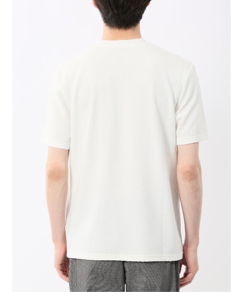 m.f.editorial（エムエフエディトリアル）の「【マシンウォッシャブル】m.f.エディトリアル メンズ バイヤスジャガード Vネック半袖Tシャツ（Tシャツ/カットソー・メンズ・アイボリー/ネイビー・MEDIUM/LARGE/X-LARGE）」の17枚目の写真