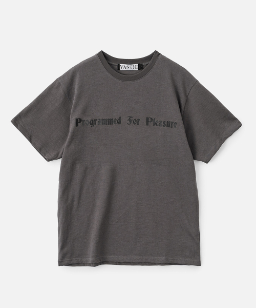 VASTIC(バスティック)の「pfp Tシャツ_チャコール(Tシャツ/カットソー・メンズ・その他・MEDIUM/LARGE/X-LARGE)」の2枚目の写真