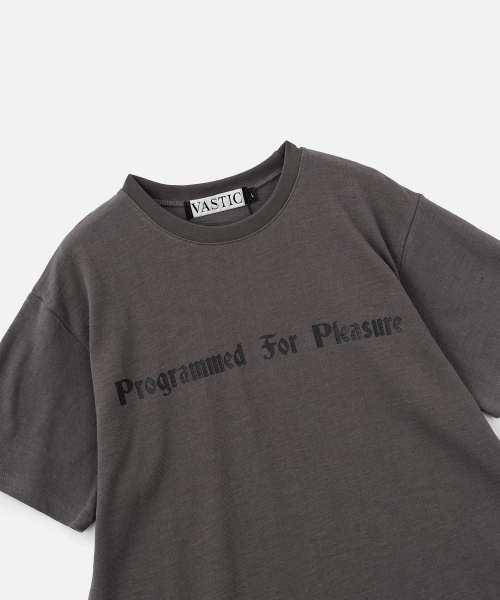 VASTIC(バスティック)の「pfp Tシャツ_チャコール(Tシャツ/カットソー・メンズ・その他・MEDIUM/LARGE/X-LARGE)」の4枚目の写真