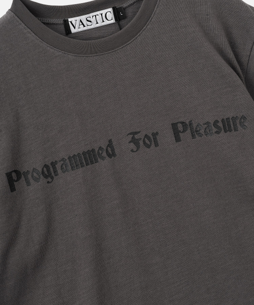 VASTIC(バスティック)の「pfp Tシャツ_チャコール(Tシャツ/カットソー・メンズ・その他・MEDIUM/LARGE/X-LARGE)」の5枚目の写真