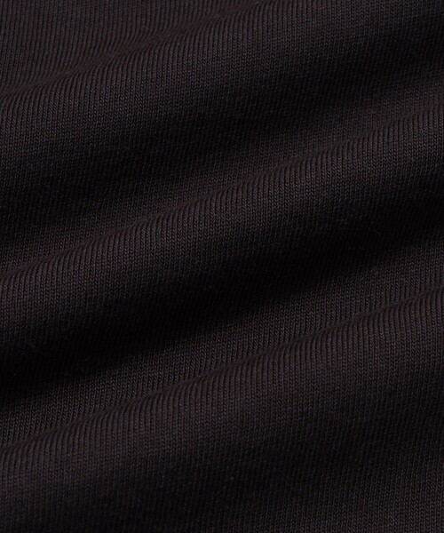 FRUIT OF THE LOOM(フルーツオブザルーム)の「【FRUIT OF THE LOOM for WILD LIFE TAILOR】EX WIDE FIT 2PCS PAC TEE(Tシャツ/カットソー・メンズ・ブラック/ホワイト・XL/M/S/L)」の3枚目の写真