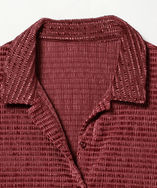 Ray BEAMS（レイビームス）の「Ray BEAMS / ベロア ボーダー シャツ（シャツ/ブラウス・レディース・ブラック/レッド系その他・ONE SIZE）」の12枚目の写真