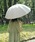 UVO�i�E�[�{�j�́u�����S�Ռ�100% �ŋ��̓��P�uUVO�i�E�[�{�j�v12�{�� ���P ���n�^�b�Z�� Wpc.�i���P�j�v�b�I�t�z���C�g