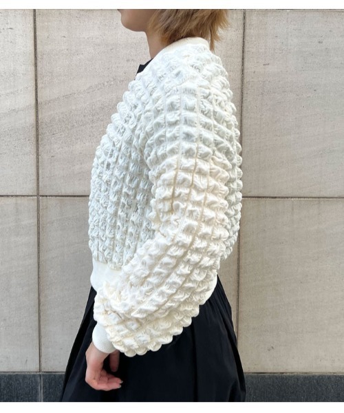 Desert　Rose（デザートローズ）の「【DESERT ROSE/デザートローズ】ポップコーンジップアップブルゾン（ブルゾン・レディース・ブラック/アイボリー・FREE）」の22枚目の写真