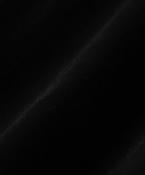 Ray BEAMS（レイビームス）の「Ray BEAMS / レース レイヤー 2WAY スカート（スカート・レディース・ブラック/ベージュ・0/1）」の20枚目の写真