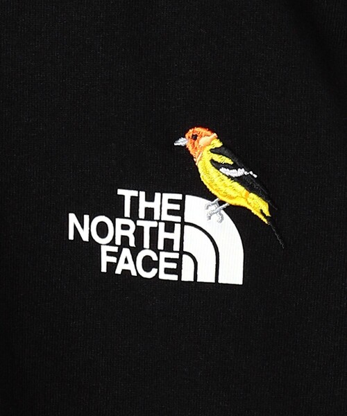 THE NORTH FACE(ザノースフェイス)の「<THE NORTH FACE> ロングスリーブ ズー ピッカー Tシャツ(Tシャツ/カットソー・メンズ・ブラック/グレー/ホワイト・M/L/XL/XXL)」の21枚目の写真
