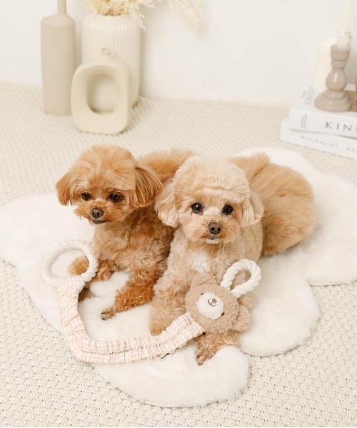 セール】くまさんひっぱりロープおもちゃ（ペット用おもちゃ