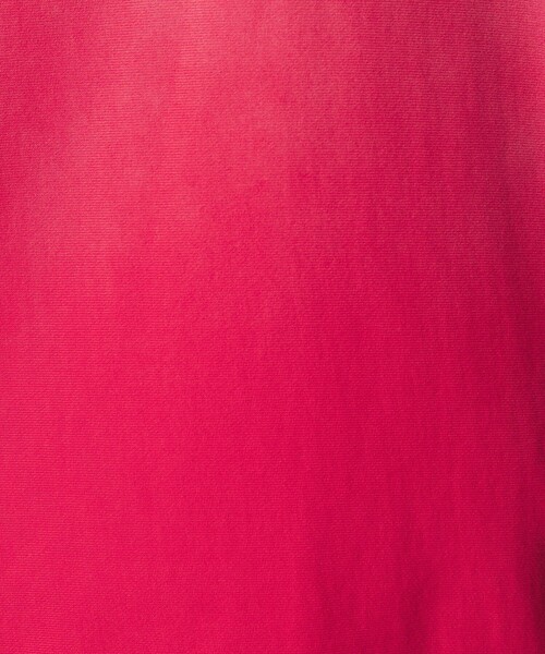 MONKEY TIME（モンキータイム）の「サンフェード フレンチテリー クルーネック スウェット（スウェット・メンズ・レッド/ブラック・XL/L/M/S）」の18枚目の写真