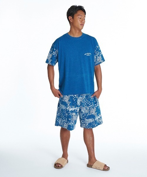 Quiksilver(クイックシルバー)の「クイックシルバー QUIKSILVER MERCURY PAISLEY SLEEVE ST(Tシャツ/カットソー・メンズ・ホワイト/ブルー・S/M/L/LL)」の5枚目の写真