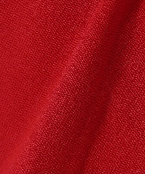 PARROTT CANVAS(パロットキャンバス)の「PARROTT CANVAS: 〈手洗い可能〉襟付き ロング スリーブ カーディガン(カーディガン/ボレロ・レディース・レッド/ブラック・ONE SIZE)」の9枚目の写真