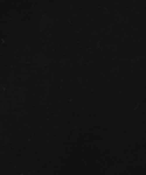 laboratory work（ラボラトリーワーク）の「シルケット天竺ロゴプリントTシャツ（Tシャツ/カットソー・レディース・オフホワイト/ブラック/ブルー・MEDIUM）」の11枚目の写真