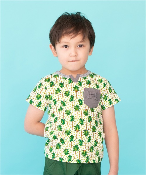 プリントＴシャツ 海のいきものたち ヤシの木