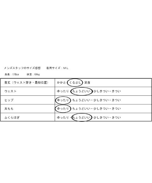antiqua(アンティカ)の「【tree cafe】デニムパンツ(デニムパンツ・メンズ・ノンウォッシュ・L/XL)」の8枚目の写真