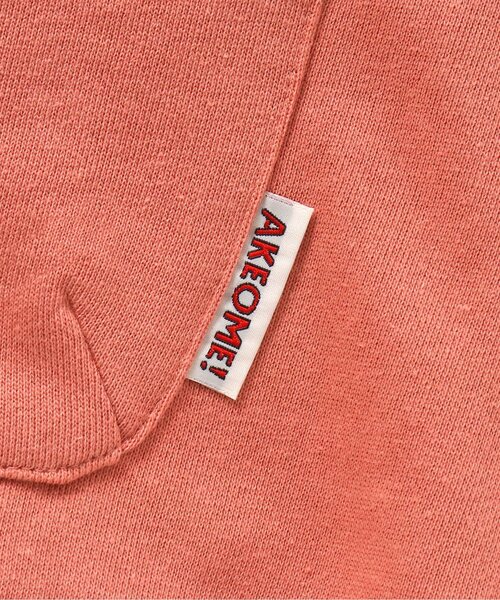 BREEZE(ブリーズ)の「【ユニセックス】NewYearトレーナー(スウェット・キッズ・グリーン/オレンジ/ライトイエロー/サックスブルー/レインボー・120/130/110/100/90/80/140)」の16枚目の写真