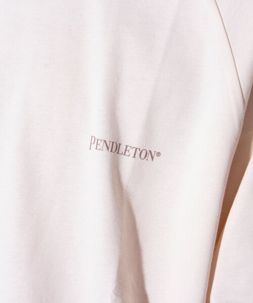 PENDLETON（ペンドルトン）の「【PENDLETON/ペンドルトン】バックプリント ラグランTシャツ ドロスト（Tシャツ/カットソー・メンズ・ミント/オフホワイト/ブルー/チャコールグレー・M/L）」の21枚目の写真