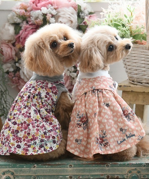 LAURA ASHLEY/ドッキングワンピース（ペットウェア）｜LAURA ASHLEY（ローラアシュレイ） mdprevattcaulkingandwaterproofing.com