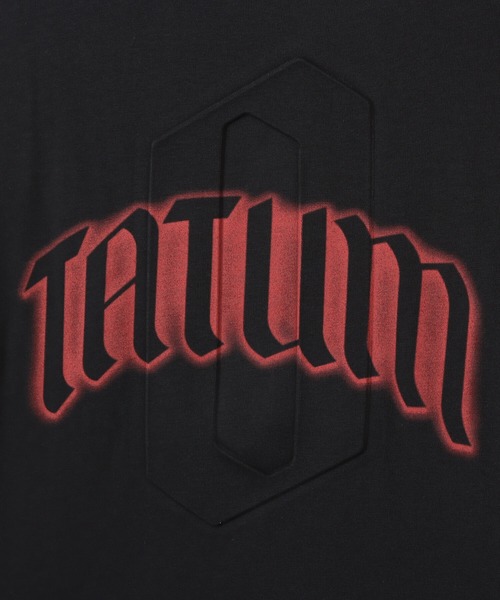 JORDAN BRAND（ジョーダンブランド）の「JORDAN BRAND M J GFX SS CREW JT / ジョーダン ブランド ジョーダン GFX S/S クルー JT / NIKE【SP】（Tシャツ/カットソー・メンズ・ブラック/ホワイト・M/L/XL）」の15枚目の写真