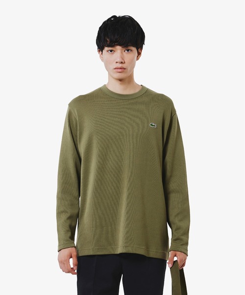 LACOSTE(ラコステ)の「ヘビーウェイトシングルジャージ長袖Tシャツ(Tシャツ/カットソー・メンズ・ブラック/オリーブ/オフホワイト・3/2/4/5)」の14枚目の写真